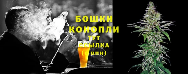 прущие крисы Гусев