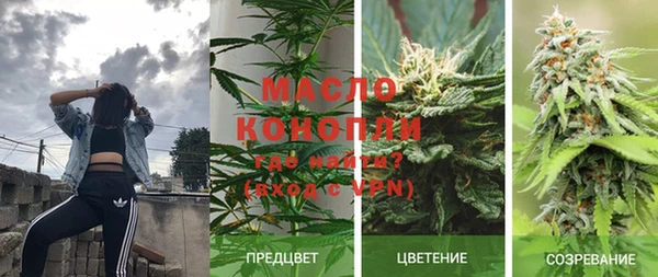прущие крисы Гусев
